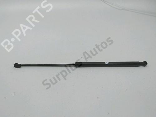 hood-lift-support-citroen-c5-ii-rc_-2004-2005-2006-2007-2008-40620910 main image