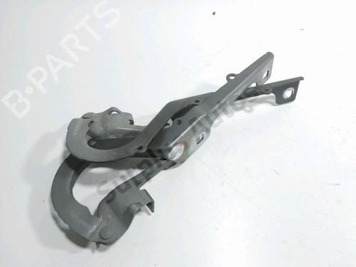 hingedoor-check-strap-peugeot-2008-i-cu_-2013-33534430 main image