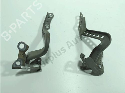 hingedoor-check-strap-peugeot-108-2014-31142744 main image