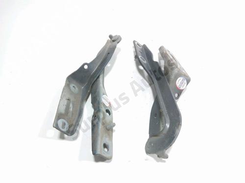 hingedoor-check-strap-peugeot-307-cc-3b-2003-2004-2005-2006-2007-2008-2009-33034459 main image