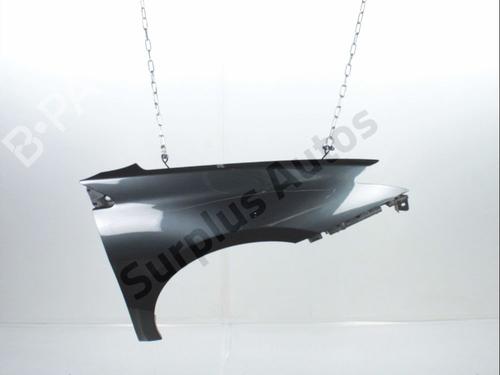 Used Right front fenders RENAULT LAGUNA III (BT0/1) 2.0 dCi (BT01, BT08, BT09, BT0E, BT0K, BT12, BT1C, BT1D,... (150 hp) 30869363