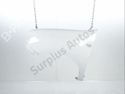 Used Left front fenders DACIA SANDERO II 1.0 SCe 75 (B8JC, B8JD, B8NC) (73 hp) 31635834