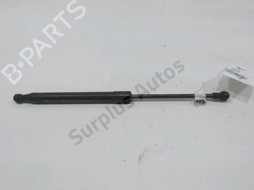 hood-lift-support-fiat-500l-351_-352_-2012-30993791 main image