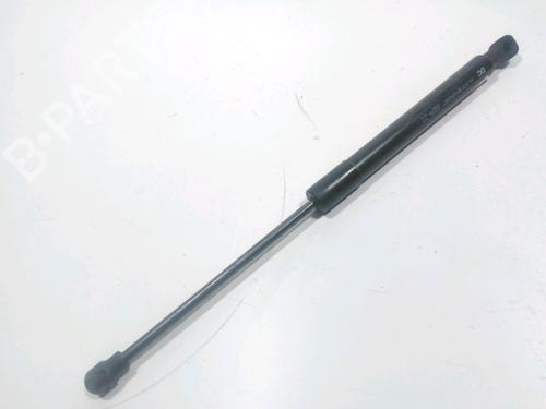 Used Hood lift support RENAULT KANGOO / GRAND KANGOO II (KW0/1_) 1.2 TCe 115 (KW02, KW14) (115 hp) 28237704