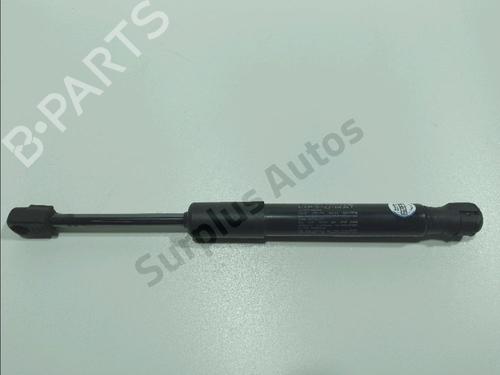 hood-lift-support-tesla-model-y-5yjy-2019-36660970 main image