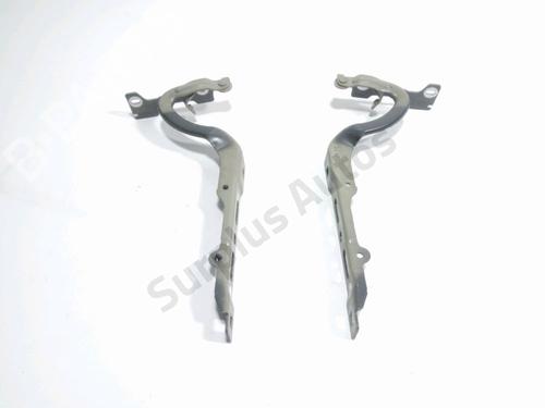 Used Hinge/Door check strap PEUGEOT 208 I (CA_, CC_) 1.2 VTI 82 (82 hp) 31635840