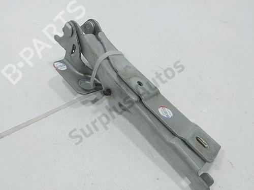 hingedoor-check-strap-citroen-c3-ii-sc_-2009-40490893 main image