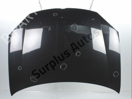 Used Hood Hood VW GOLF V (1K1) 1.9 TDI (105 hp) 40464726 40464726