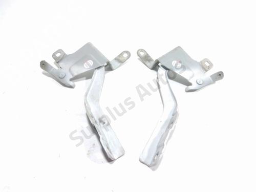 Used Hinge/Door check strap RENAULT CLIO IV (BH_) 1.5 dCi 75 (75 hp) 32460842