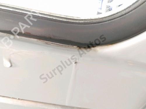 Right rear door CITROËN 2 CV 6 | BP29580258C5 