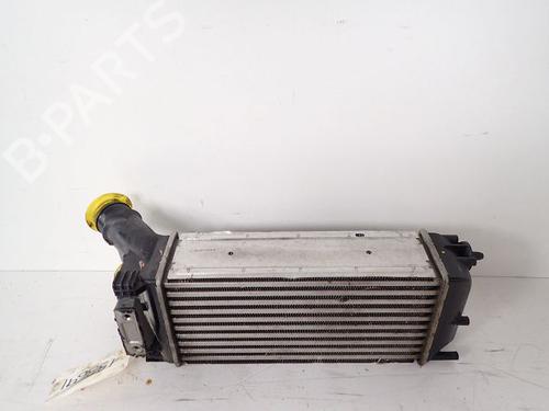 Intercooler CITROËN BERLINGO Box Body/MPV (B9) [2008-2026]  30984292