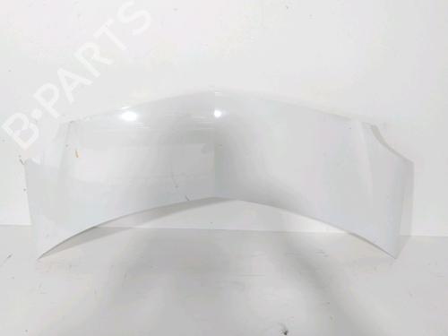 Panser Panser RENAULT MODUS / GRAND MODUS (F/JP0_) 1.2 (JP0C, JP0K, FP0C, FP0K, FP0P, JP0P, JP0T) (75 hp) 30993606 30993606