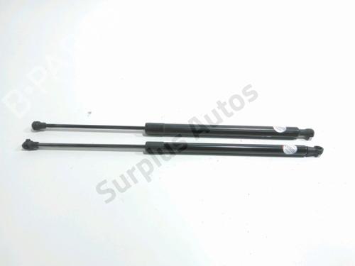 tailgate-lift-support-renault-scenic-iii-jz01_-2008-2009-2010-2011-2012-2013-2014-2015-2016-33686449 main image