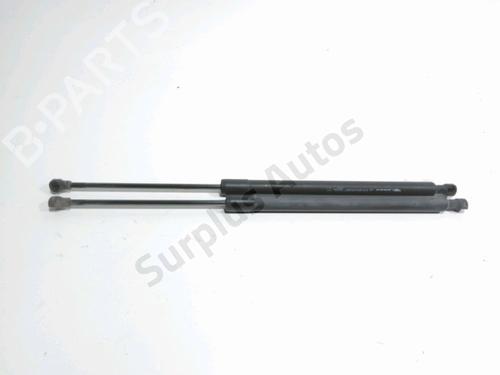 Used Tailgate lift support RENAULT SCÉNIC III (JZ0/1_) 1.9 dCi (JZ0J, JZ1J, JZ1K, JZ1S) (131 hp) 30608310