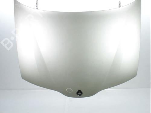 Used Hood RENAULT LAGUNA II (BG0/1_) 1.9 dCi (BG08, BG0G) (120 hp) 28237143