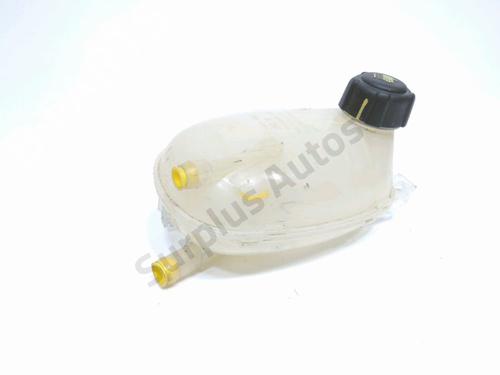 Used Expansion tank DACIA SANDERO III 1.0 TCe 100 ECO-G (101 hp) 28223133