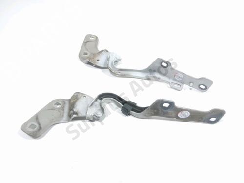 Used Hinge/Door check strap RENAULT CLIO III (BR0/1, CR0/1) 1.5 dCi (75 hp) 30269263