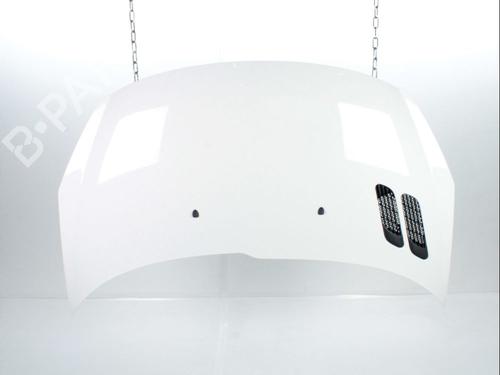 Used Hood PEUGEOT 206+ (2L_, 2M_) 1.4 HDi eco 70 (68 hp) 28237145