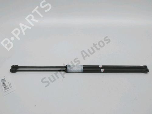 Used Tailgate lift support Tailgate lift support 31002001 31002001