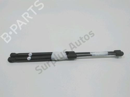 tailgate-lift-support-suzuki-swift-iii-mz-ez-2005-32202875 main image