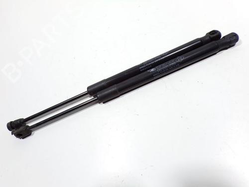 Used Tailgate lift support DACIA DUSTER (HS_) 1.5 dCi 4x4 (HSMC, HSMD) (110 hp) 28260981