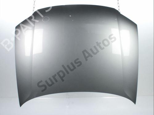 hood-vw-passat-b55-3b3-2000-2001-2002-2003-2004-2005-29265967 main image