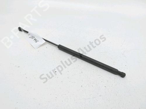 Used Hood lift support CITROËN C5 II Break (RE_) 1.6 HDi (RE9HZC, RE9HYB) (109 hp) 30993821