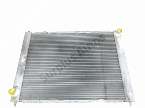 Used Water radiator RENAULT TWINGO II (CN0_) 1.2 16V (CN04, CN0B) (75 hp) 29471134