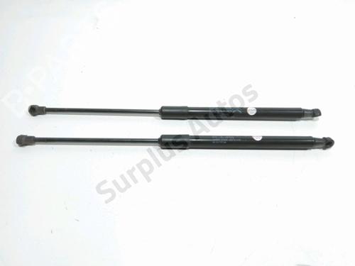 tailgate-lift-support-citroen-c3-iii-sx-2016-31080383 main image