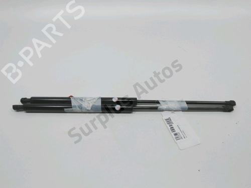 Used Tailgate lift support RENAULT LAGUNA III Grandtour (KT0/1) 2.0 dCi (KT07, KT0J, KT14, KT1A, KT1S) (131 hp) 31001956
