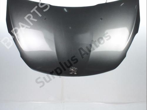 Used Hood Hood 38613579 38613579