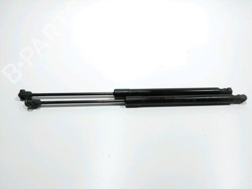 tailgate-lift-support-audi-q5-8rb-2008-2009-2010-2011-2012-2013-2014-2015-2016-2017-2018-2019-28261234 main image