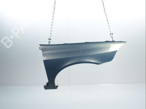 Used Right front fenders RENAULT LAGUNA II (BG0/1_) 1.9 dCi (BG1A, BG1V) (130 hp) 28235706
