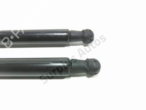 Tailgate lift support CITROËN C3 III (SX) 1.2 PureTech 82 | BP30869549C138