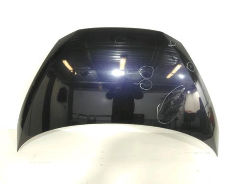 Used Hood RENAULT AVANTIME (DE0_) 2.2 dCi (DE01) (150 hp) 30993617