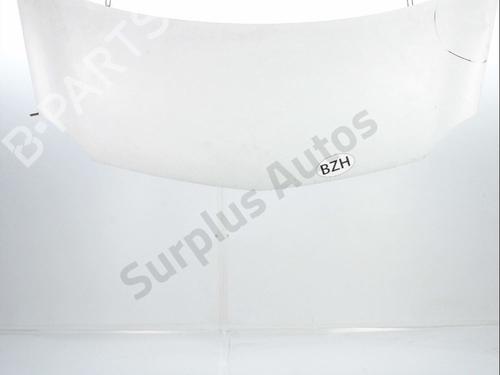 hood-renault-kangoo-express-fw01_-2008-33949858 main image