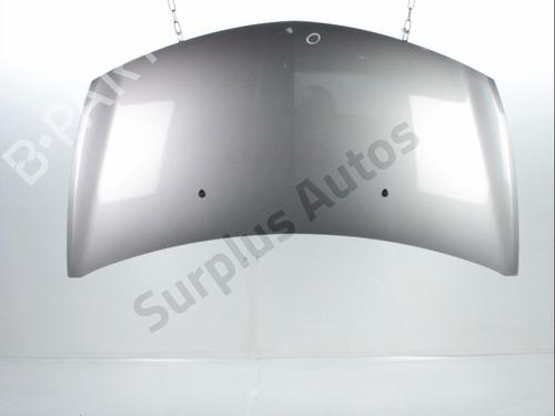 Used Hood RENAULT CLIO III (BR0/1, CR0/1) 1.5 dCi (75 hp) 31368213