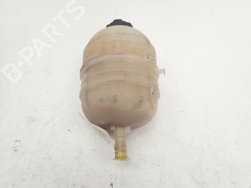 Used Expansion tank PEUGEOT 206+ (2L_, 2M_) 1.4 i (73 hp) 30986386