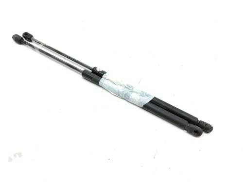 tailgate-lift-support-nissan-micra-iii-k12-2002-2003-2004-2005-2006-2007-2008-2009-2010-2011-31001851 main image