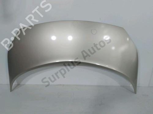 hood-renault-scenic-ii-jm01_-2003-2004-2005-2006-2007-2008-2009-2010-30993683 main image