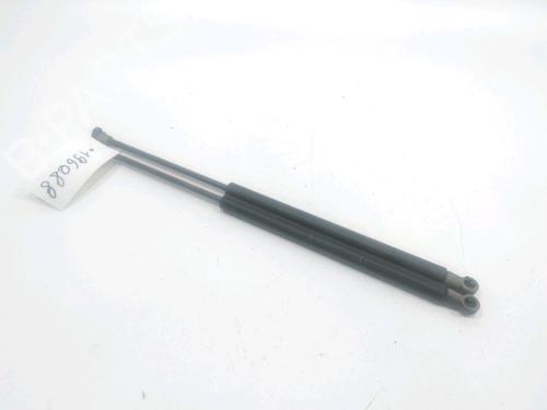 Gassdemper Bakluke FIAT 500 (312_) 1.3 D Multijet (312AXB1A) (75 hp) 31001900