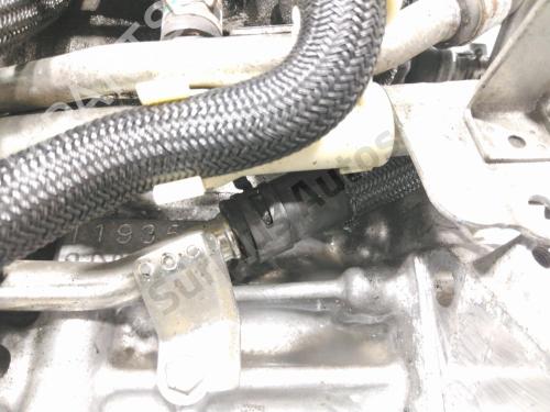 Engine TOYOTA VERSO S (_P12_) 1.4 D4-D (NLP121_, NLP121R) | BP37761817M1 - Image 5