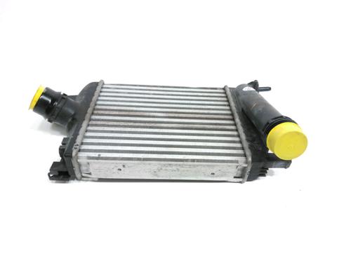 Intercooler DACIA SANDERO II 1.0 LPG (B8ML) | BP28220537M30 