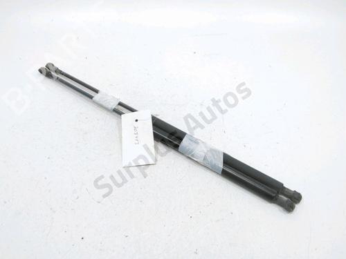 tailgate-lift-support-peugeot-206-sw-2ek-2002-31002015 main image