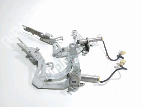 Used Hinge/Door check strap Hinge/Door check strap PEUGEOT RCZ 2.0 HDi (163 hp) 33300702 33300702