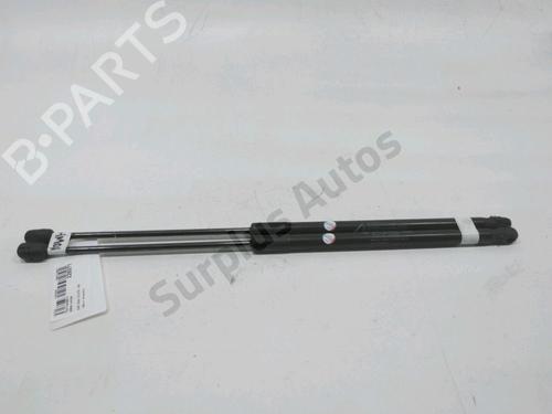 tailgate-lift-support-fiat-500l-351_-352_-2012-31001982 main image