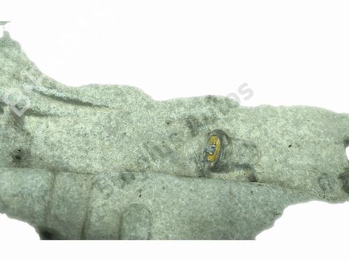 Gearbox MERCEDES-BENZ A-CLASS (W169) A 160 (169.031, 169.331) | BP36509094M3 - Image 6