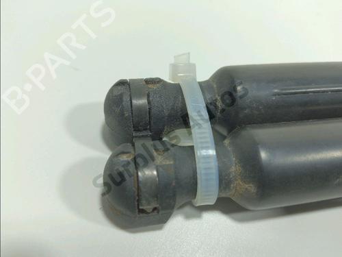 Tailgate lift support DACIA LODGY (JS_) 1.5 dCi | BP37507190C138 - Image 2