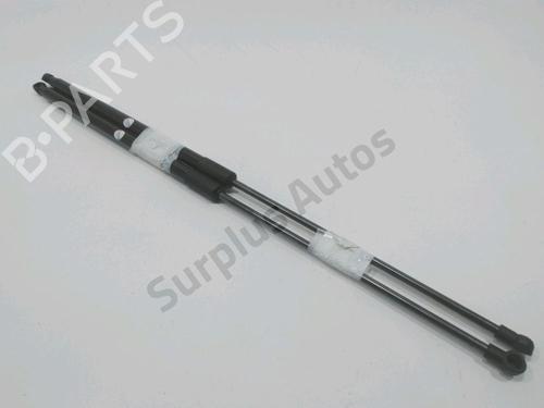 tailgate-lift-support-nissan-juke-f15-2010-2011-2012-2013-2014-2015-2016-2017-2018-2019-32434950 main image