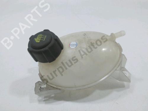expansion-tank-renault-clio-iv-bh_-2012-2013-2014-2015-2016-2017-2018-2019-2020-2021-34115465 main image